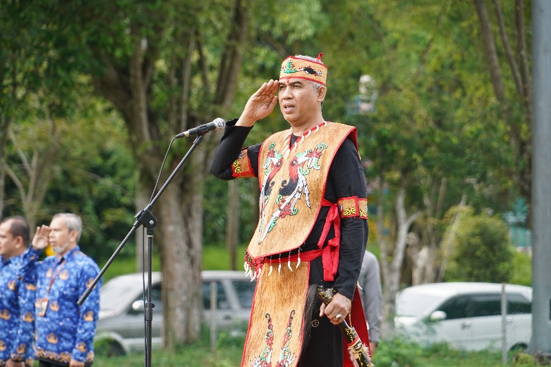 https://news.unimal.ac.id/index/single/7717/rektor-unimal-kenakan-pakaian-adat-dayak-kalimantan-saat-upacara-harkitnas-ke-118