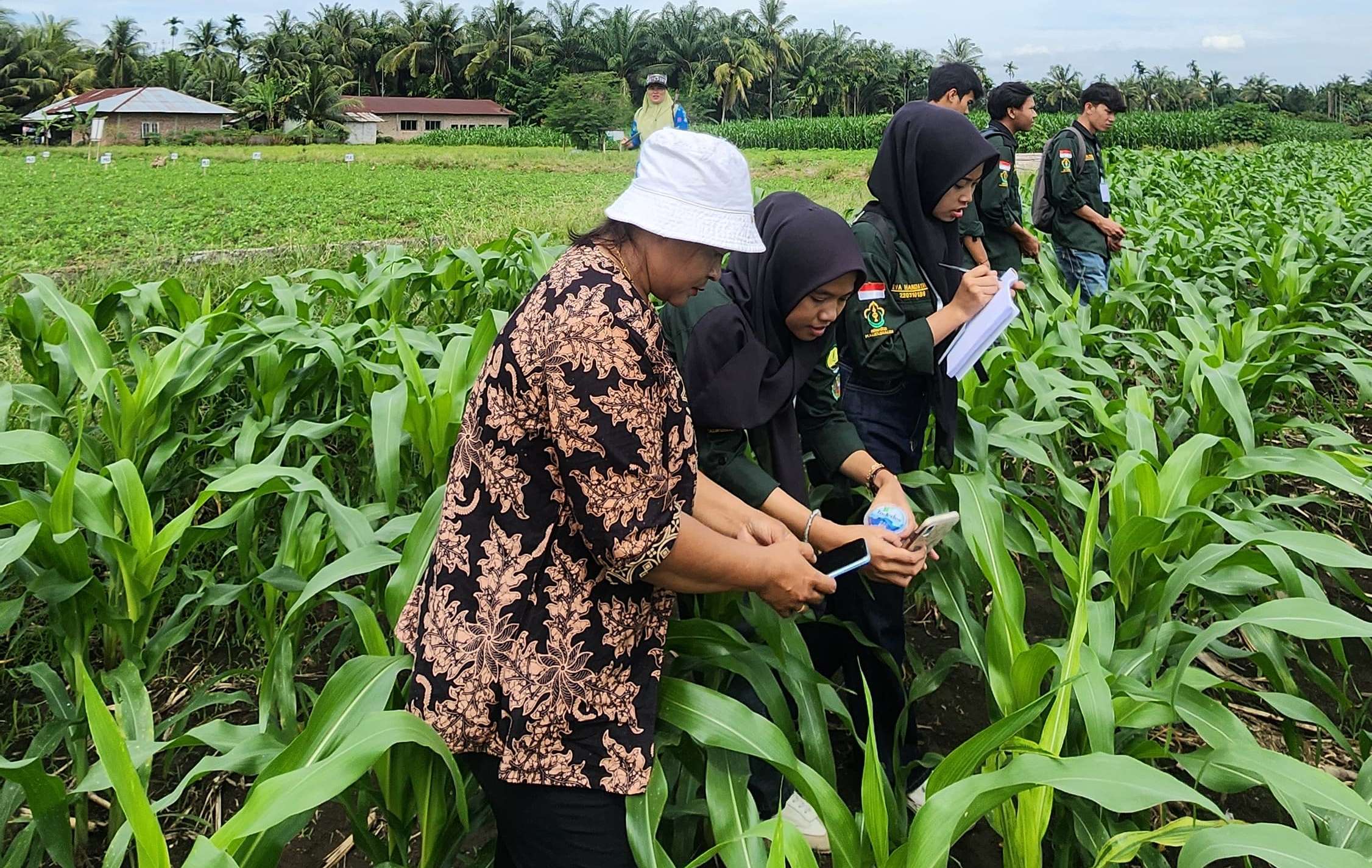 https://news.unimal.ac.id/index/single/6520/mahasiswa-agroekoteknologi-unimal-ikuti-pkl-di-bpp-medan-krio-deli-serdang