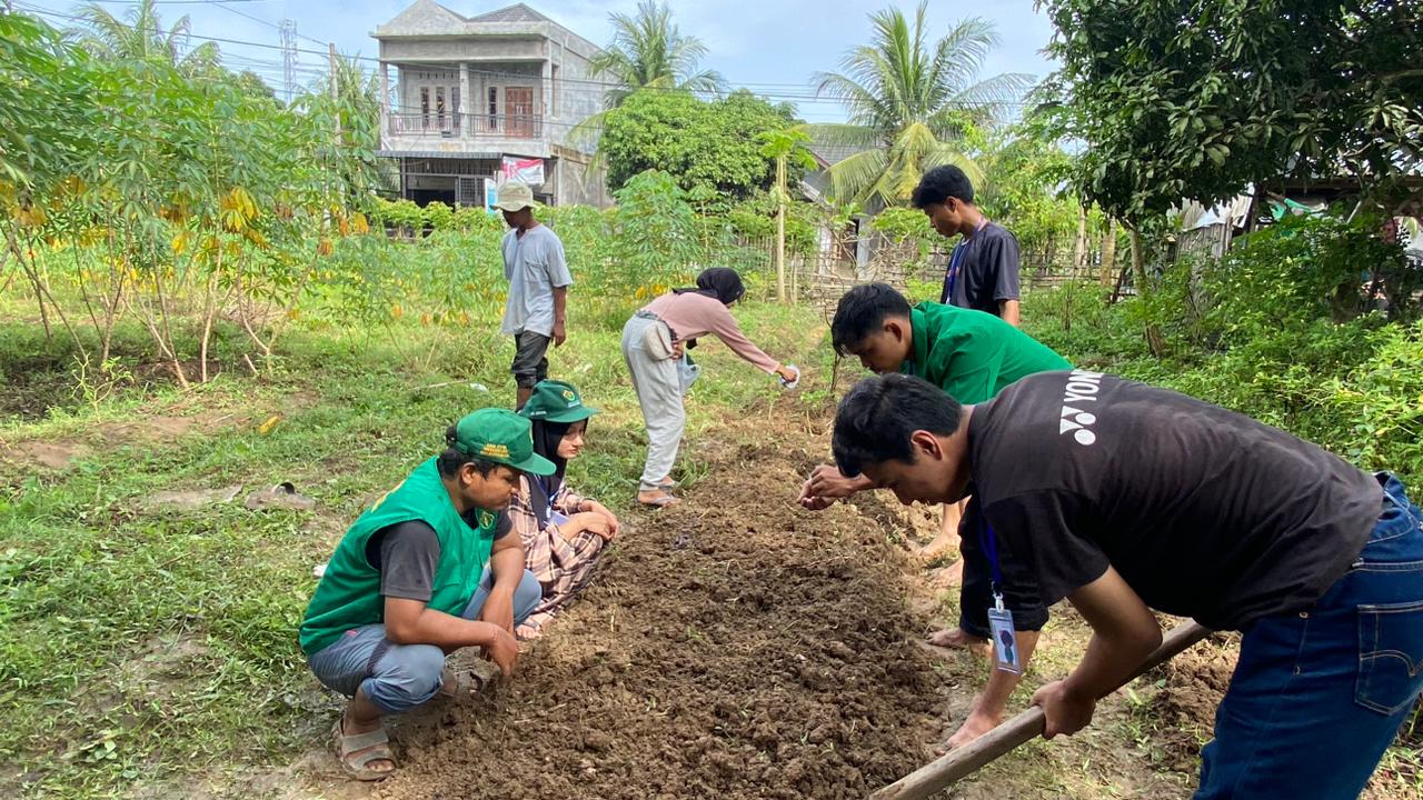 https://news.unimal.ac.id/index/single/6531/manfaatkan-lahan-kosong-mahasiswa-kkn-104-lakukan-gerakan-lumbung-hidup