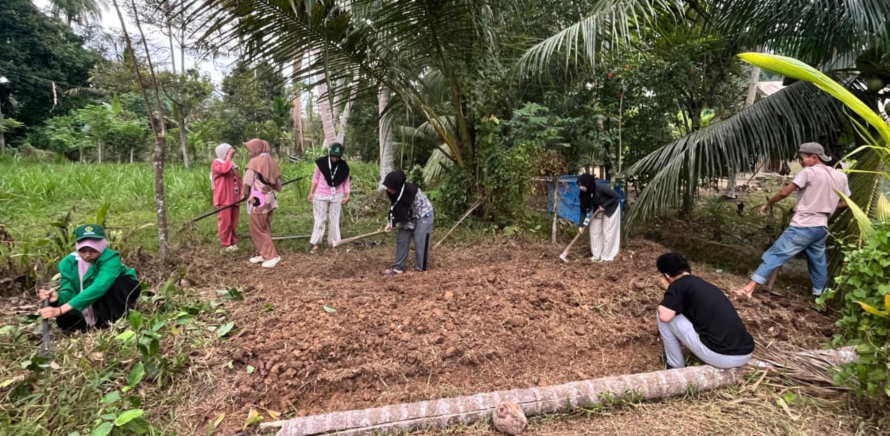 https://news.unimal.ac.id/index/single/7861/mahasiswa-kkn-unimal-jadikan-lahan-kosong-di-yayasan-jannatul-yatim-jadi-kebun-kangkung-dan-pakcoy