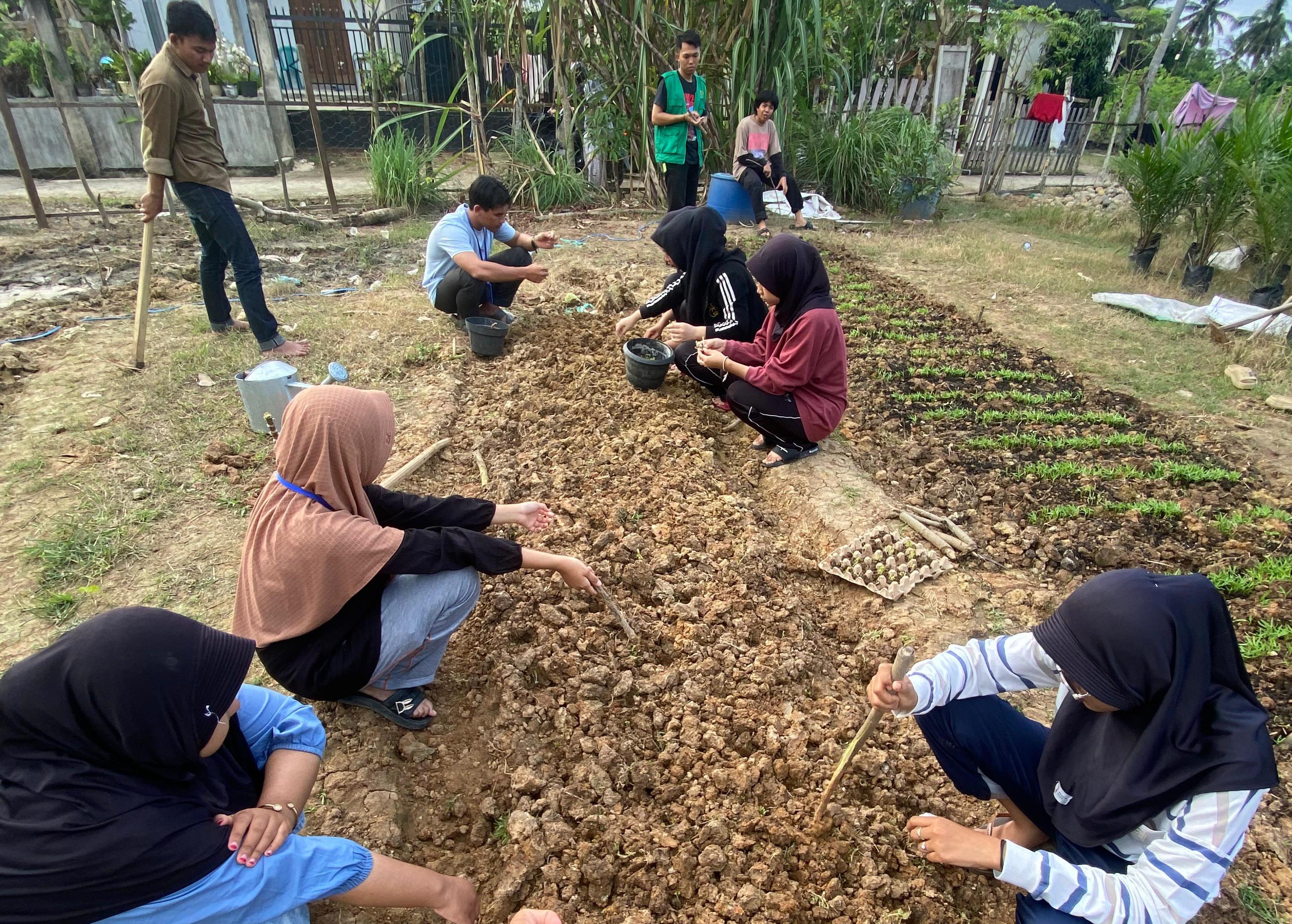 https://news.unimal.ac.id/index/single/6800/mahasiswa-kkn-unimal-25-berkebun-dengan-menanam-tanaman-hortikultura-di-gampong-ulee-blang-mane