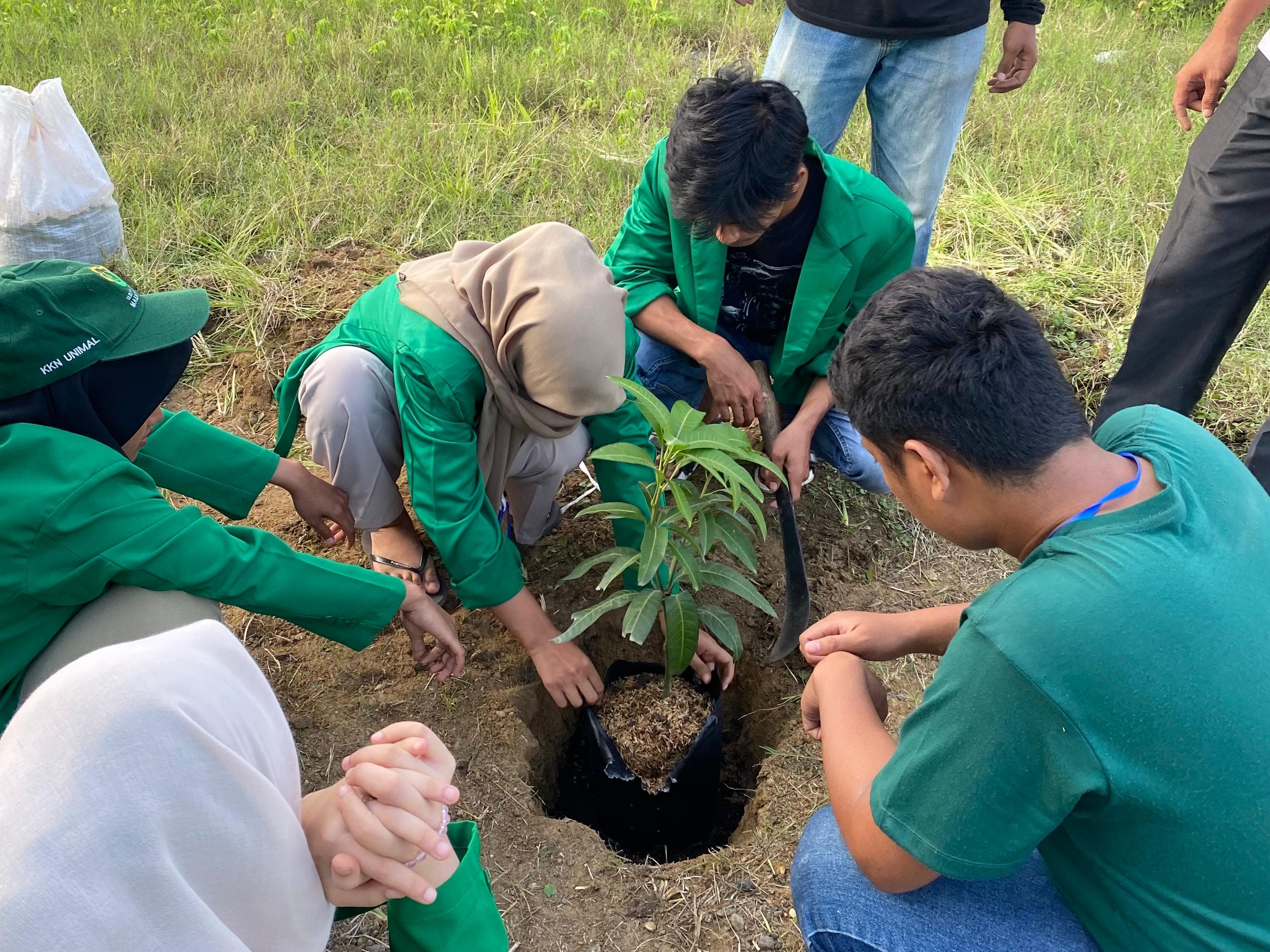 https://news.unimal.ac.id/index/single/6729/mahasiswa-kkn-kelompok-260-inisiasi-tanam-pohon-buah-di-lingkungan-masjid