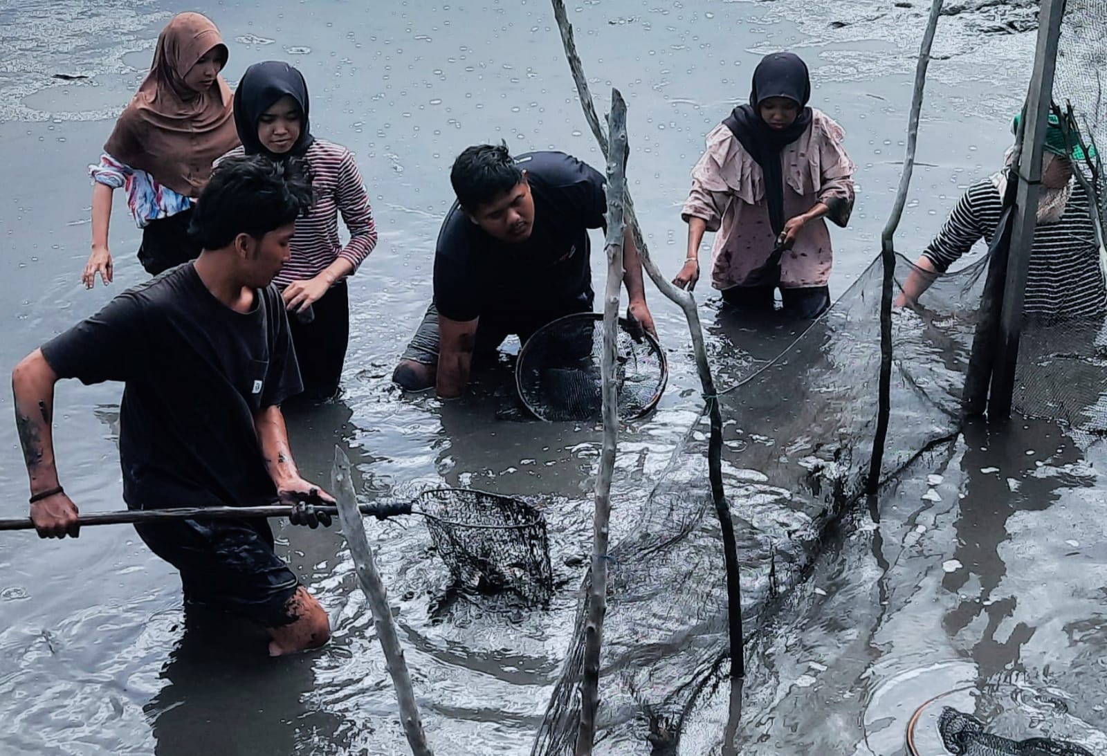 https://news.unimal.ac.id/index/single/6582/mahasiswa-kkn-kelompok-203-belajar-budidaya-pertambakan-di-merbo-lama