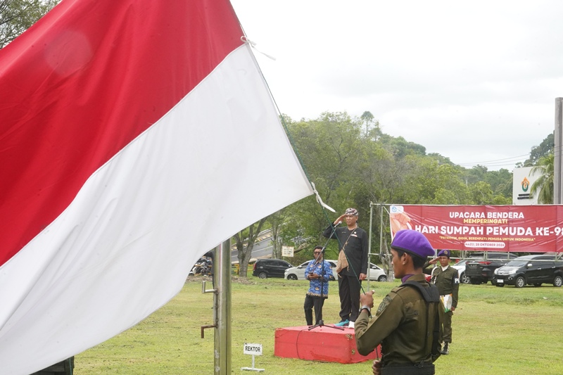 https://news.unimal.ac.id/index/single/8117/unimal-peringati-hari-sumpah-pemuda-ke-98